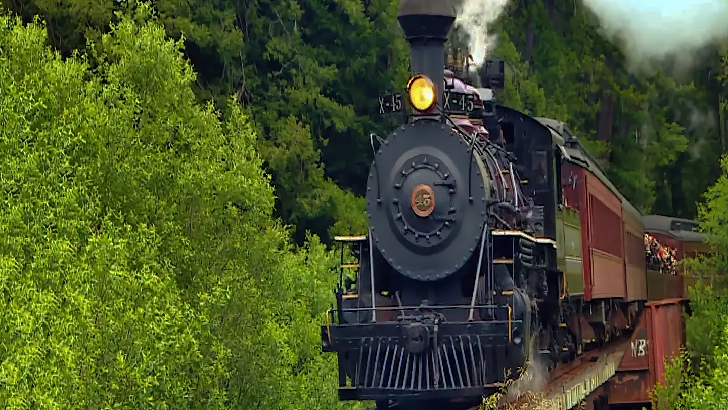 The Skunk Train