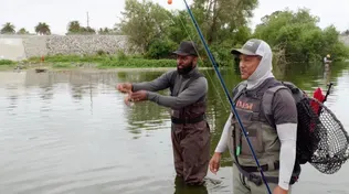 America OutdoorAmerica Outdoors: Understorys: Understory
