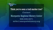 Trail Marker Trees