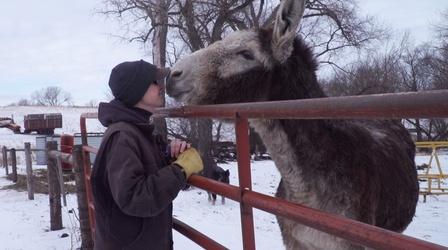 Video thumbnail: Prairie Sportsman Donkey Patrol
