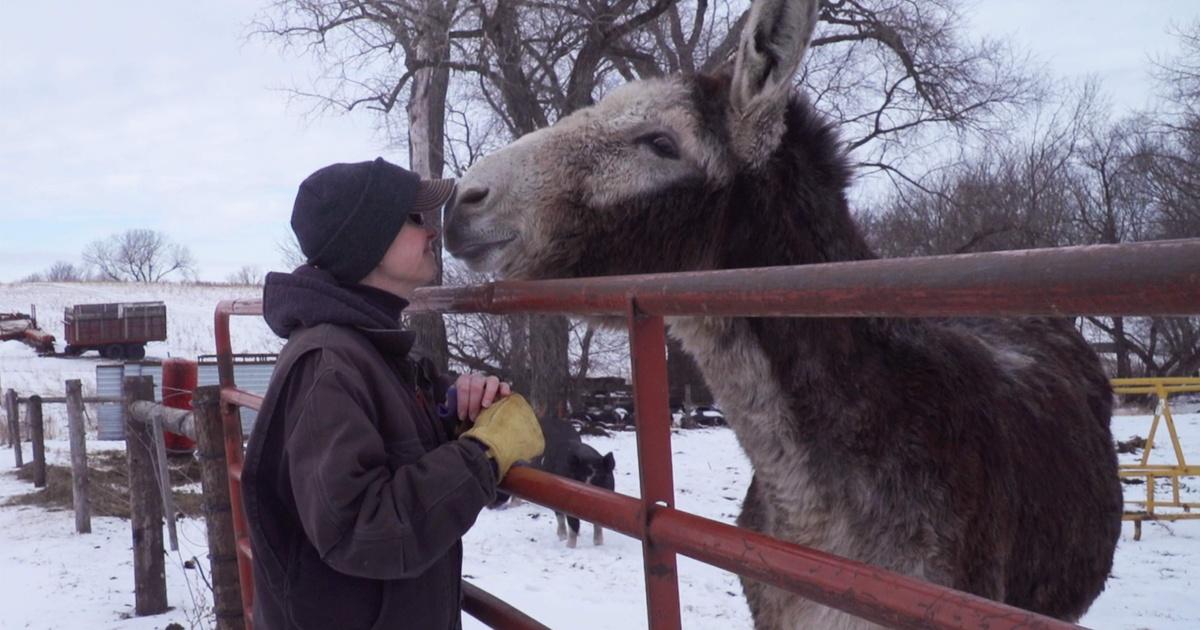 Prairie Sportsman | Donkey Patrol | Season 12 | Episode 7 | PBS