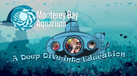 Video thumbnail: Inside California Education Monterey Bay Aquarium: A Deep Dive into Education