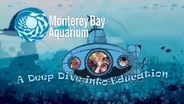 Monterey Bay Aquarium: A Deep Dive into Education