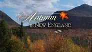 Autumn in New England