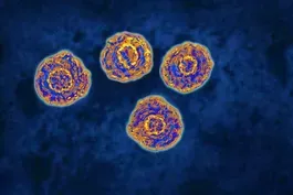 White House makes push to eradicate hepatitis C