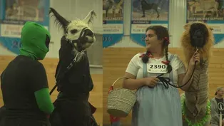 4-H Lama Encampment