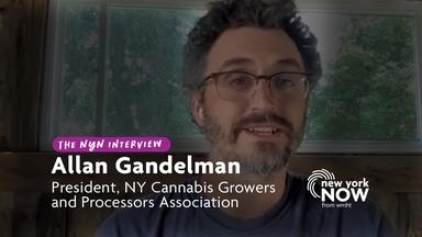 Interview with Allan Gandelman: Cannabis in New York