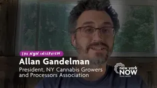 Interview with Allan Gandelman: Cannabis in New York