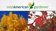 Mid-American Gardener with Jennifer Nelson January 18, 2018