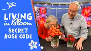 What's the Secret Rose Code? - Living in Bloom with J Schwanke