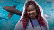 Shark "Traffic Jam": Inside a Biscayne Bay Shark Survey