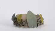 Nature Crown