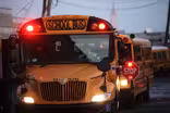 Should seat belts on school buses be required?