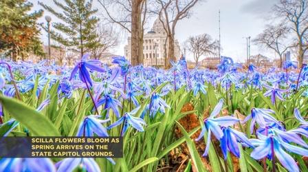 Video thumbnail: Almanac: At the Capitol Senate Leaders, Lt. Governor Flanagan, Sen. Senjem retiring