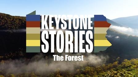 Video thumbnail: Keystone Stories Keystone Stories: The Forest