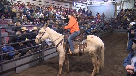 Video thumbnail: Tennessee Crossroads Tennessee Crossroads 3333