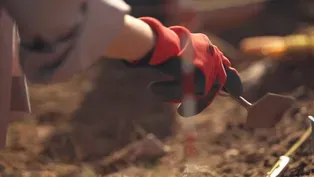 Sunrise Archaeology