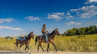 Native Horse