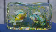 Appraisal: Murano Glass Aquarium Block, ca. 1960