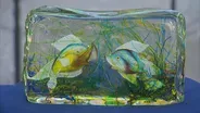 Appraisal: Murano Glass Aquarium Block, ca. 1960