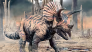 The Mystery of the Entangled Dinosaurs