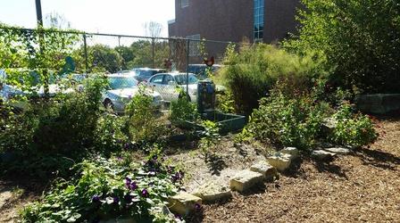 Video thumbnail: Backyard Farmer Backyard Farmer: Digging Deeper: Sustainable School Garden 2
