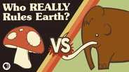 Biomass - How Much Does Life on Earth Weigh?