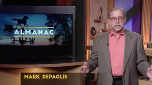 Weekly Essay | Mark DePaolis