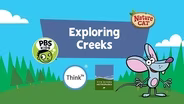 Exploring Creeks