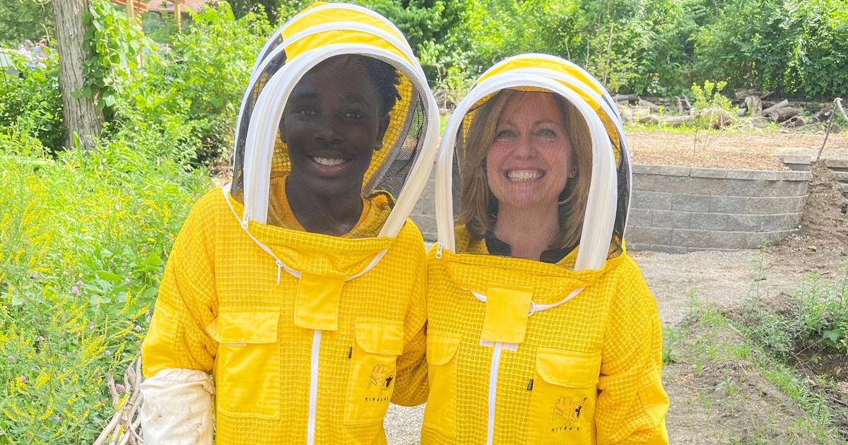 Beginner Beekeepers  Three Rivers Beekeeping Club - St. Charles MO