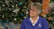 The Cities | Festival of Trees 2022