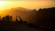 Walking with Dinosaurs: A Viewer's Guide Preview