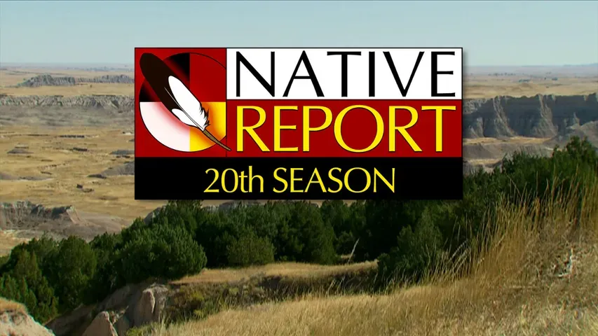 Native Report