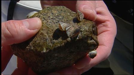 Video thumbnail: OPB Specials The Silent Invasion