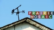 Prairie Mosaic 709