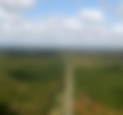 From the Sky