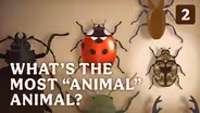 What’s the Most “Animal” Animal?