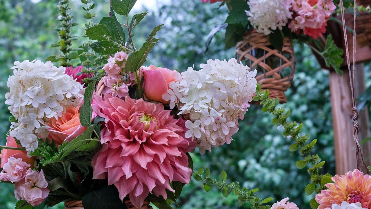 J Schwanke's Life In Bloom | The Garden, Contained