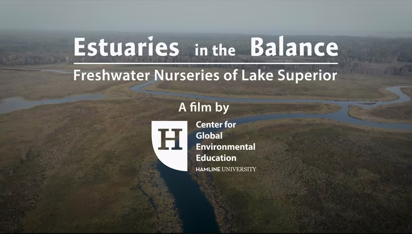 Estuaries in the Balance: Freshwater Nurseries of Lake Superior