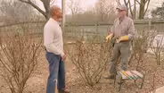 Pruning Roses & Squash