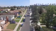 Web Extra: Comparing Neighborhood Tree Canopies