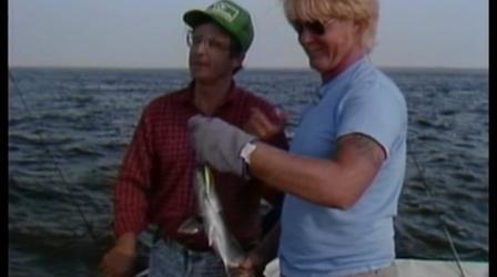 Video thumbnail: Rod & Reel Streamside Long Island Blues