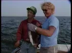 Long Island Blues