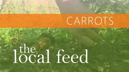 Video thumbnail: The Local Feed Carrots | Laughing Earth