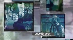 Video thumbnail: Live Here Unusual Jobs