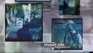 Unusual Jobs
