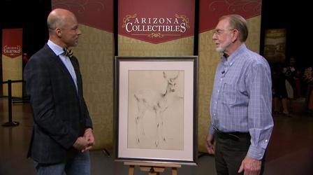 Video thumbnail: Arizona Collectibles Arizona Collectibles 311