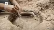 Under Arizona