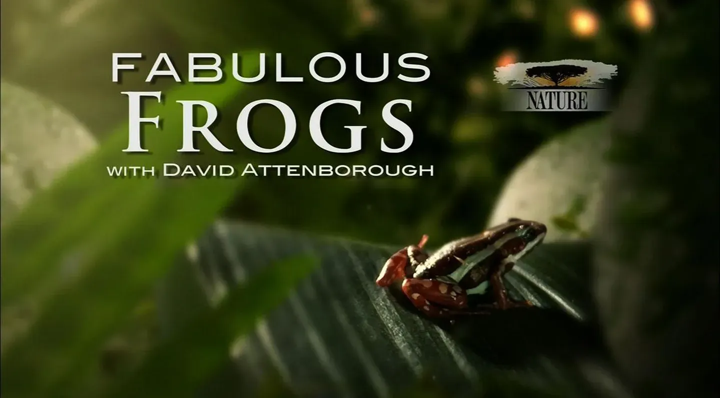 Fabulous Frogs