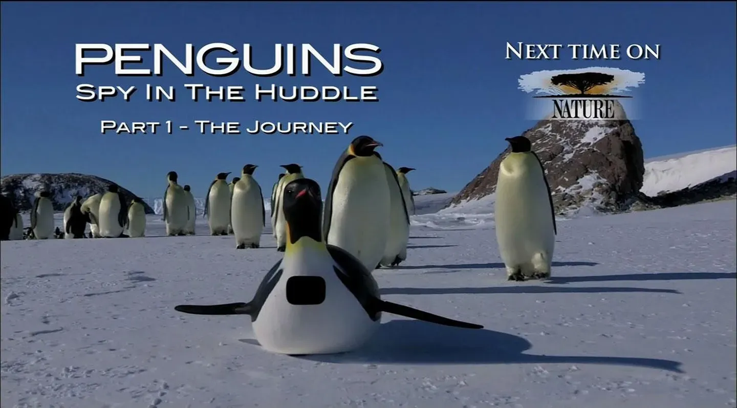 Penguins: Spy in the Huddle - The Journey